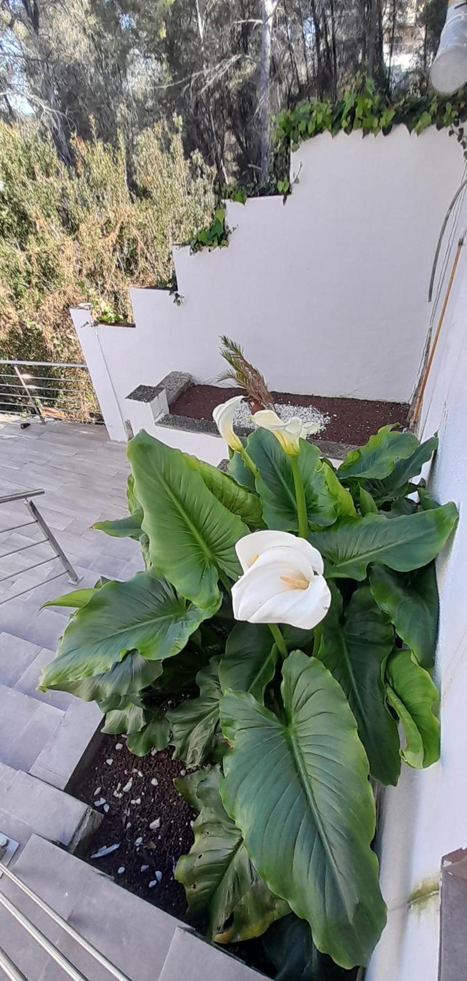 Olivella Villa Avril Piscina Privada Y Amplias Terrazas מראה חיצוני תמונה