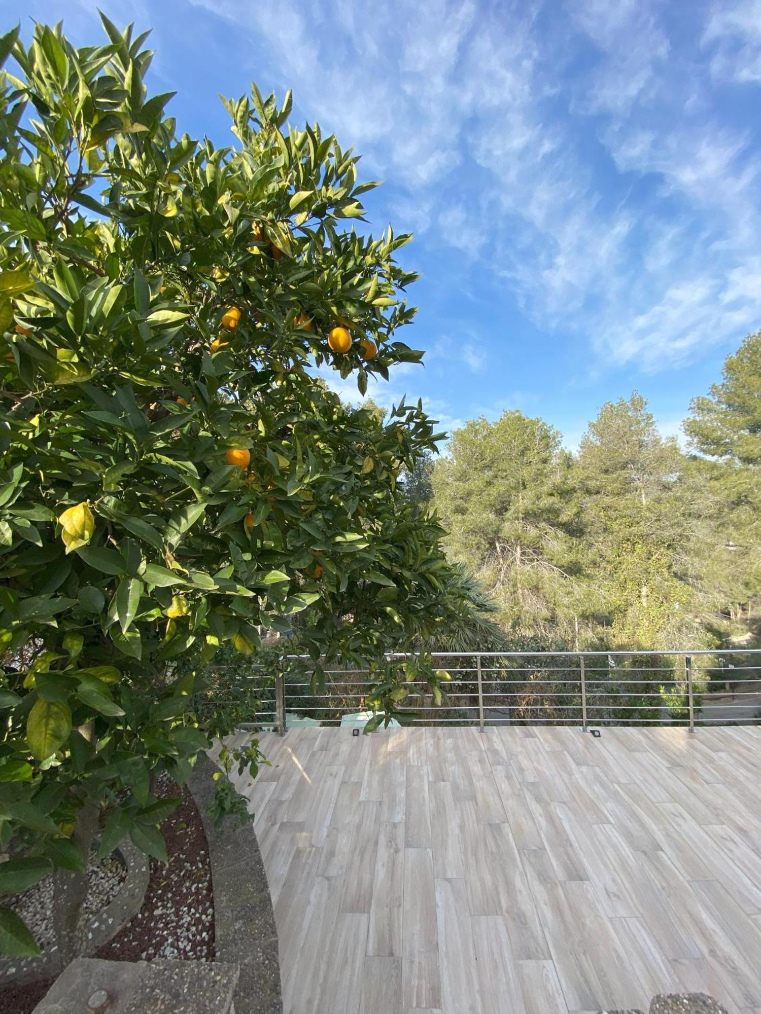Olivella Villa Avril Piscina Privada Y Amplias Terrazas מראה חיצוני תמונה